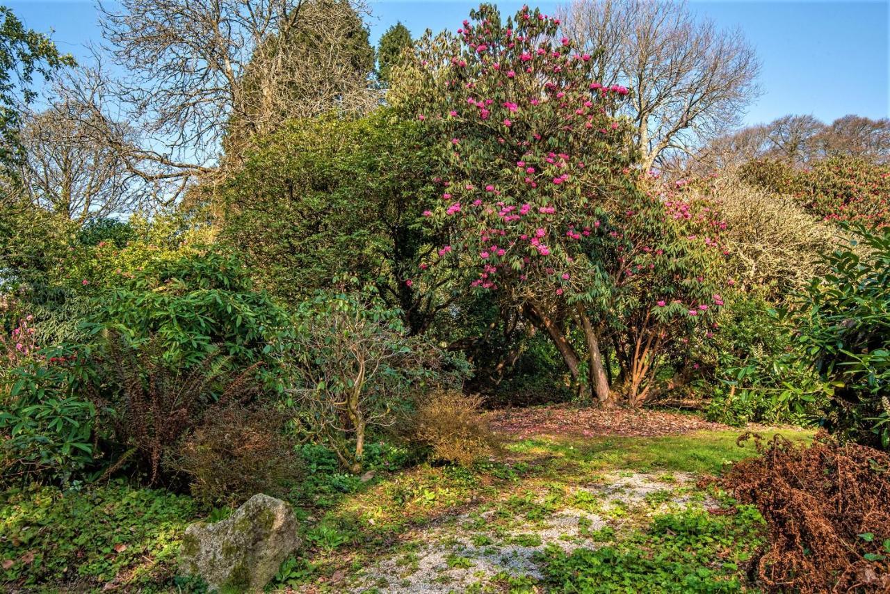 Bosvathick Cottage คอนสแตนไทน์ ภายนอก รูปภาพ